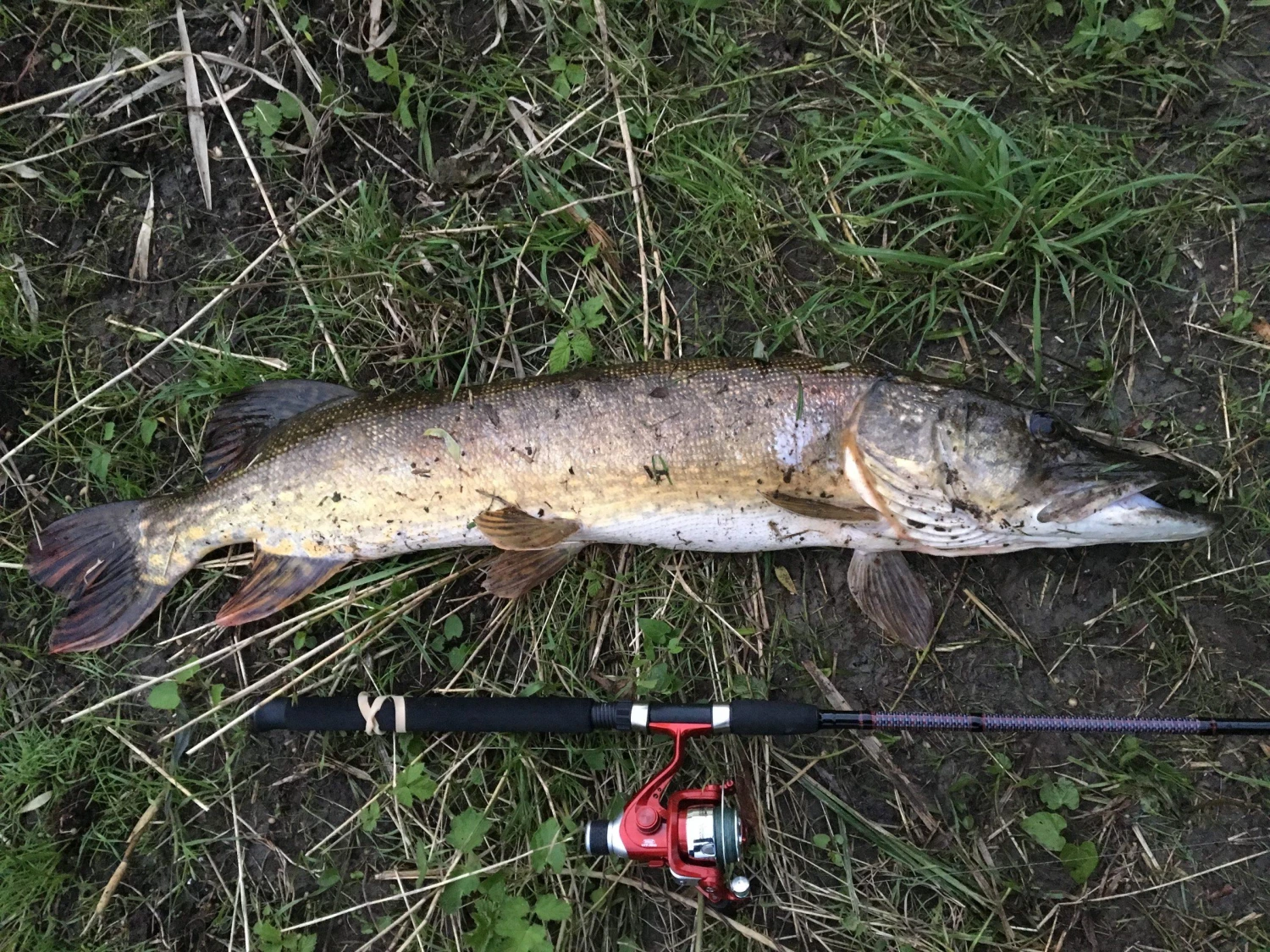 Abu Garcia Fast Attack 4 Abu Garcia Fast Attack - Afbeelding 2