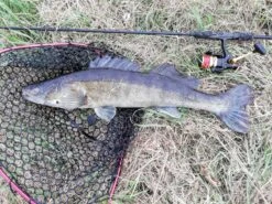 Penn Slammer -Beste Vistuig 4812