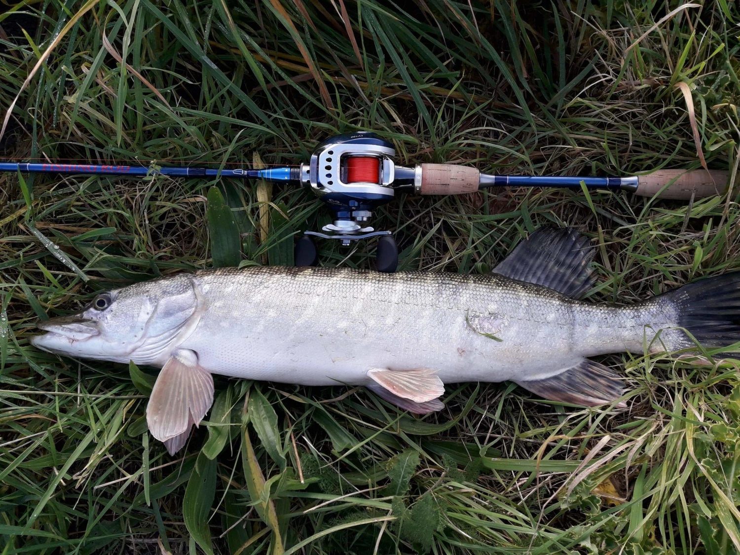 Spiderwire Stealth Smooth 8 Red 7 Spiderwire Stealth Smooth 8 Red - Afbeelding 5