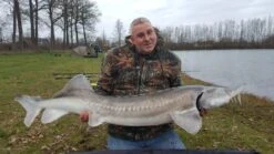 Berkley Trilene Big Game Green -Beste Vistuig 5336