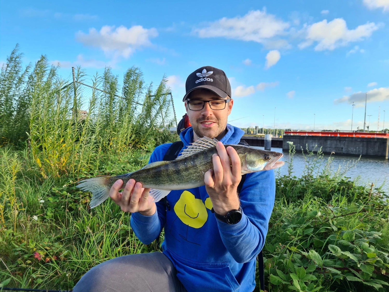 Fox Rage Spikey Shad 4 Fox Rage Spikey Shad - Afbeelding 2