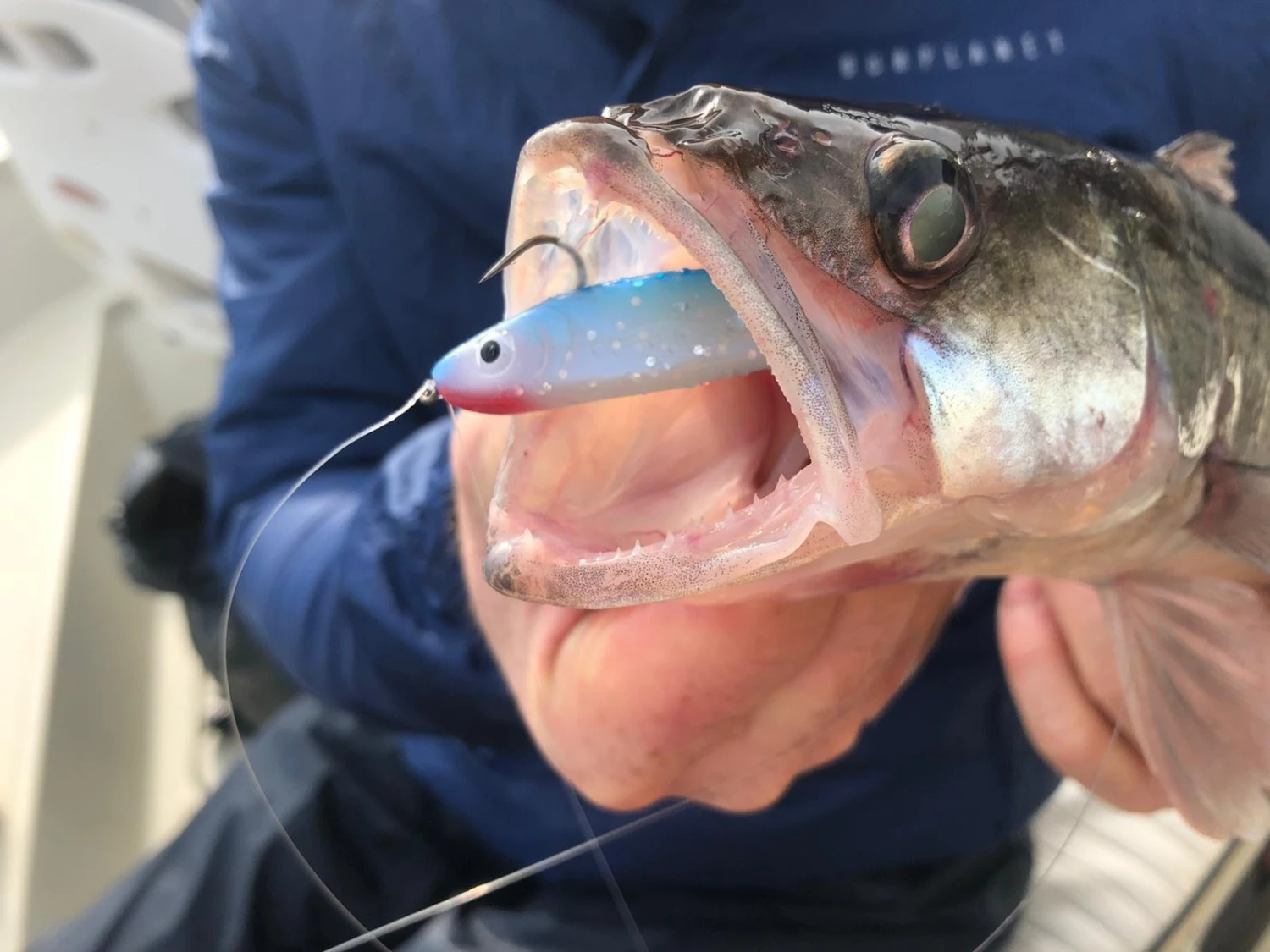 Abu Garcia Svartzonker McPerch Shad 8 Abu Garcia Svartzonker McPerch Shad - Afbeelding 6