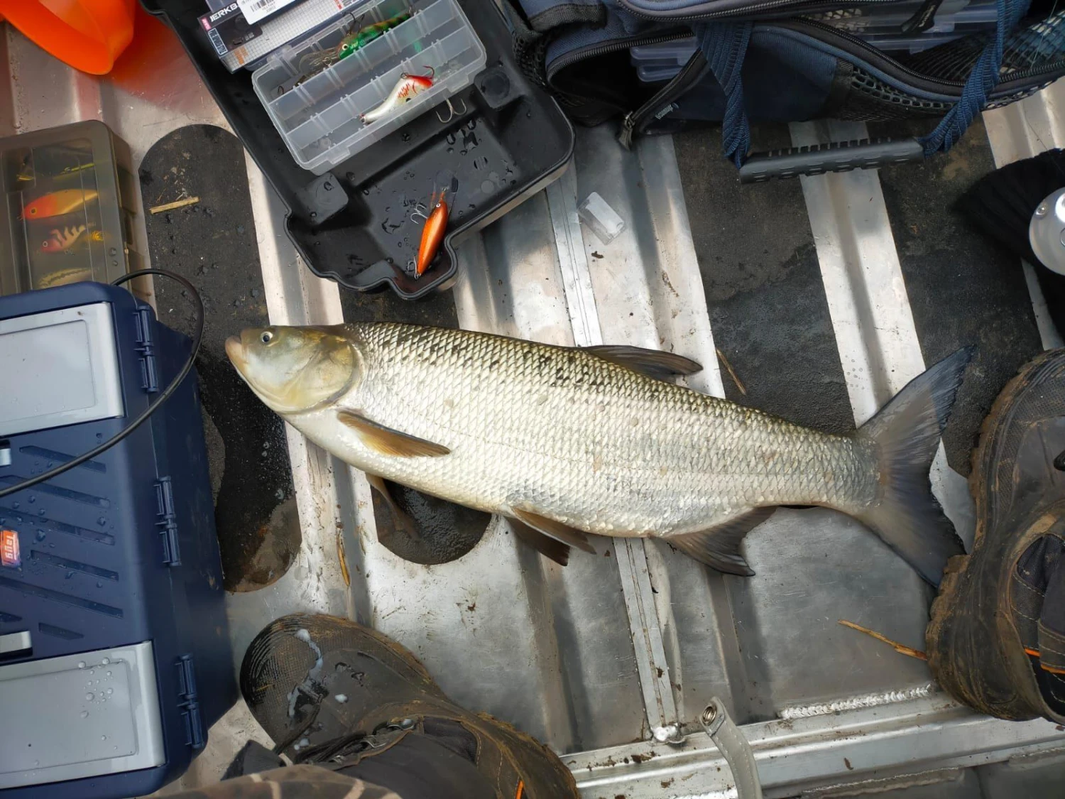 Berkley Fusion19 Treble 5 Berkley Fusion19 Treble - Afbeelding 3