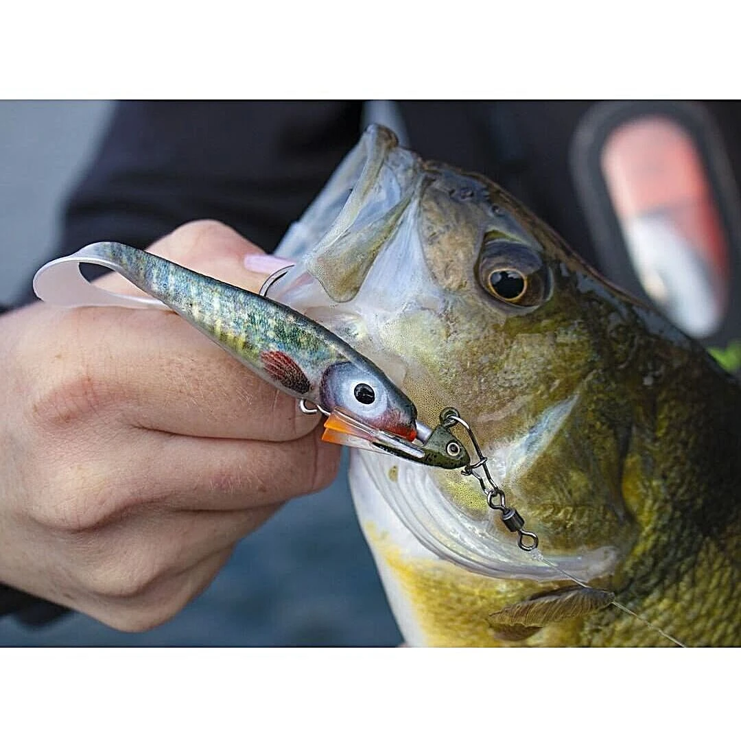 Abu Garcia Svartzonker McPerch Curly 4 Abu Garcia Svartzonker McPerch Curly - Afbeelding 2