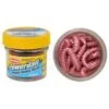 Berkley Powerbait Power Honey Worm 1 Berkley Powerbait Power Honey Worm -Beste Vistuig Berkley Powerbait Power Honey Worm 25cm Bubblegum 79313