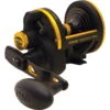Penn Squall Lever Drag -Beste Vistuig Penn Squall Lever Drag 60 4718