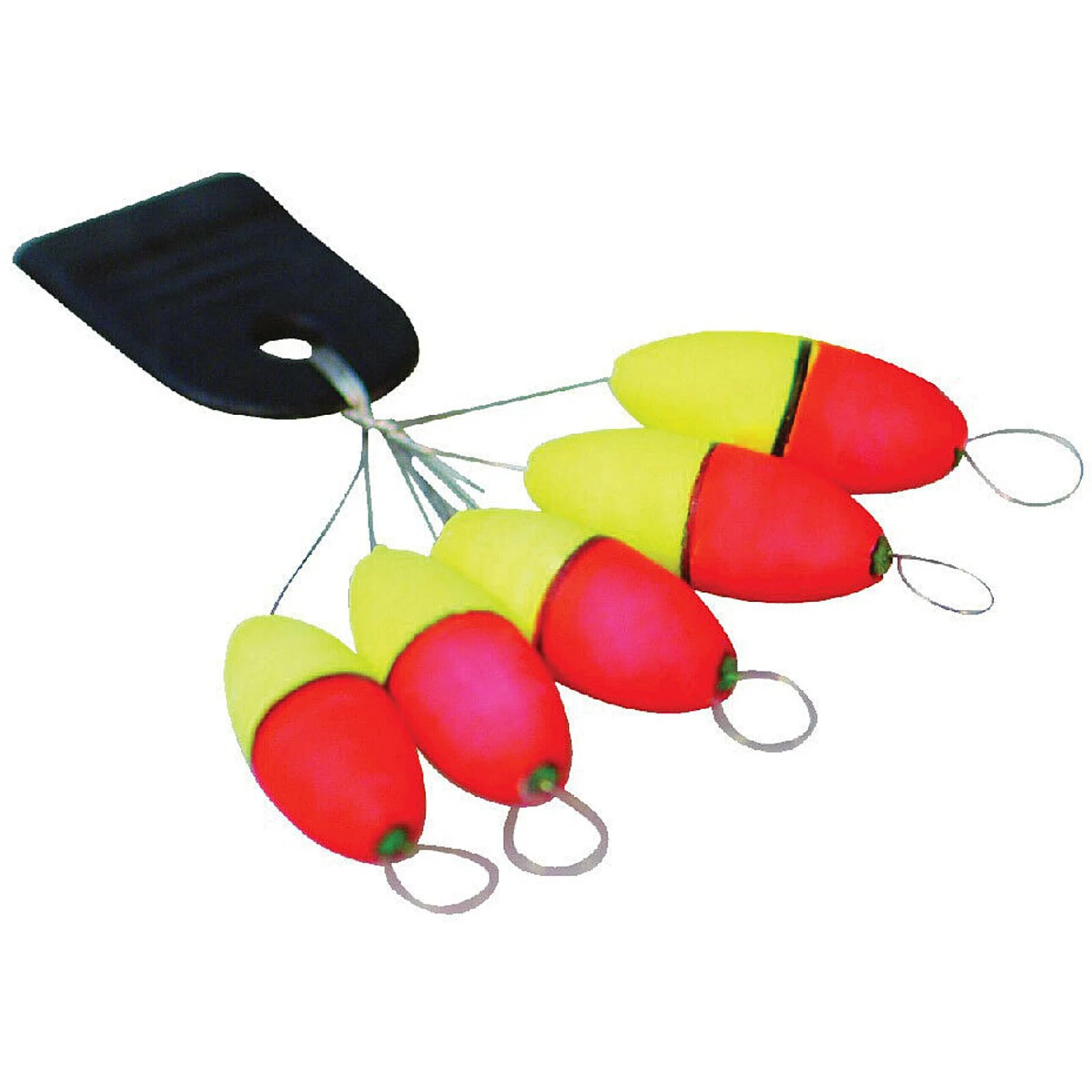 Albatros Drijvers 3 Albatros Drijvers