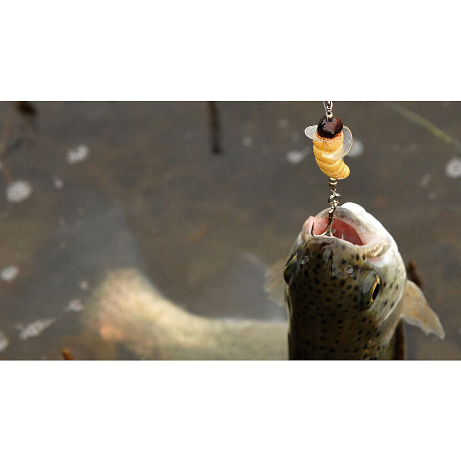 Spro Trout Master Camola 4 Spro Trout Master Camola - Afbeelding 2