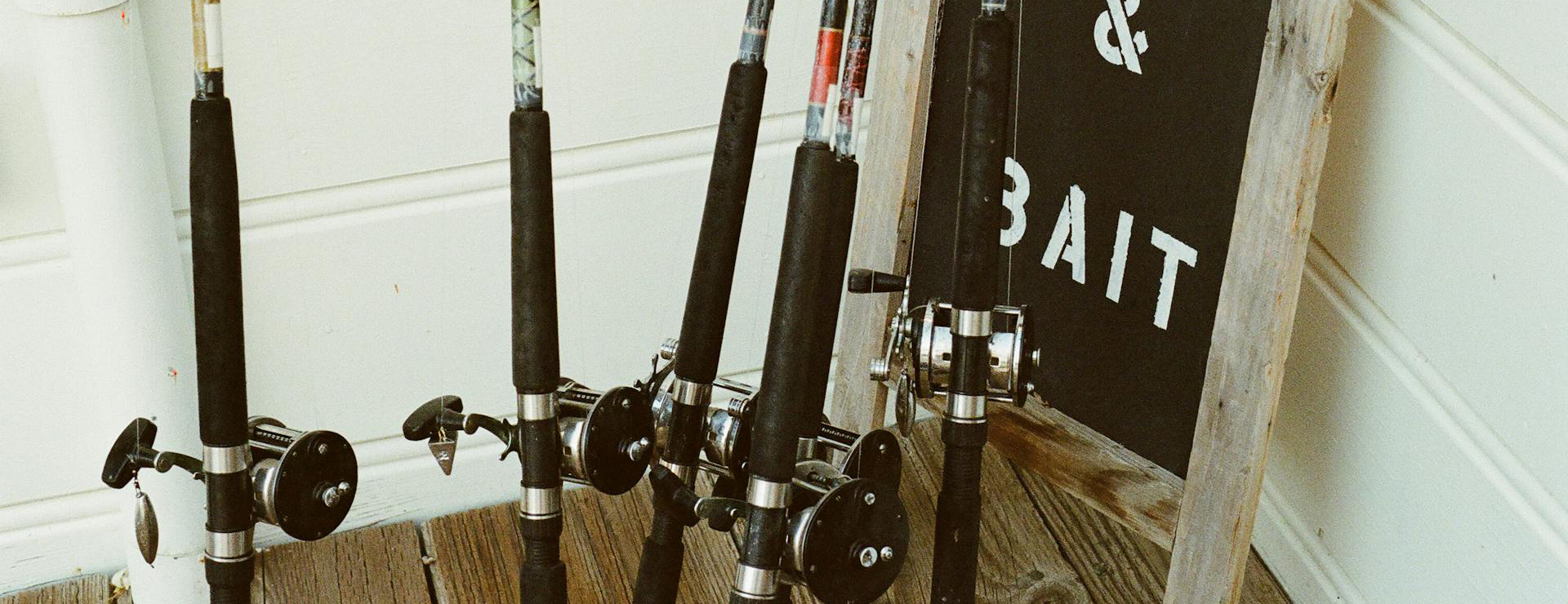 Beste Vistuig -Beste Vistuig pexels jaymantri 2542