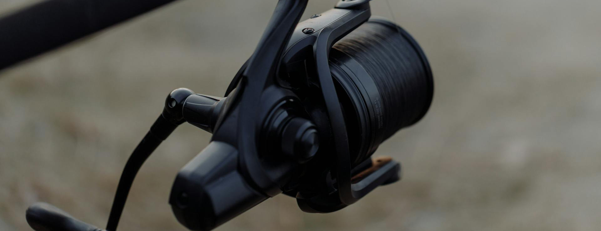 Beste Vistuig -Beste Vistuig pexels thirdman 5538151